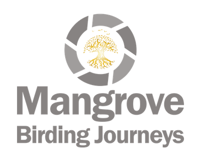 Mangrove Birding Journeys